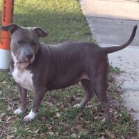 d (@homeldr) 's Twitter Profile