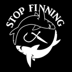 StopFinningDE's profile picture. 🇬🇧 NGO with a heart 4 shark&ray 🇩🇪 Haiprodukte in Deutschland? Leider traurige Gewissheit! Das Problem: die wenigsten wissen davon. Unser Ziel? Aufklärung!