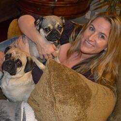 I love food, wine, pugs... and fun!