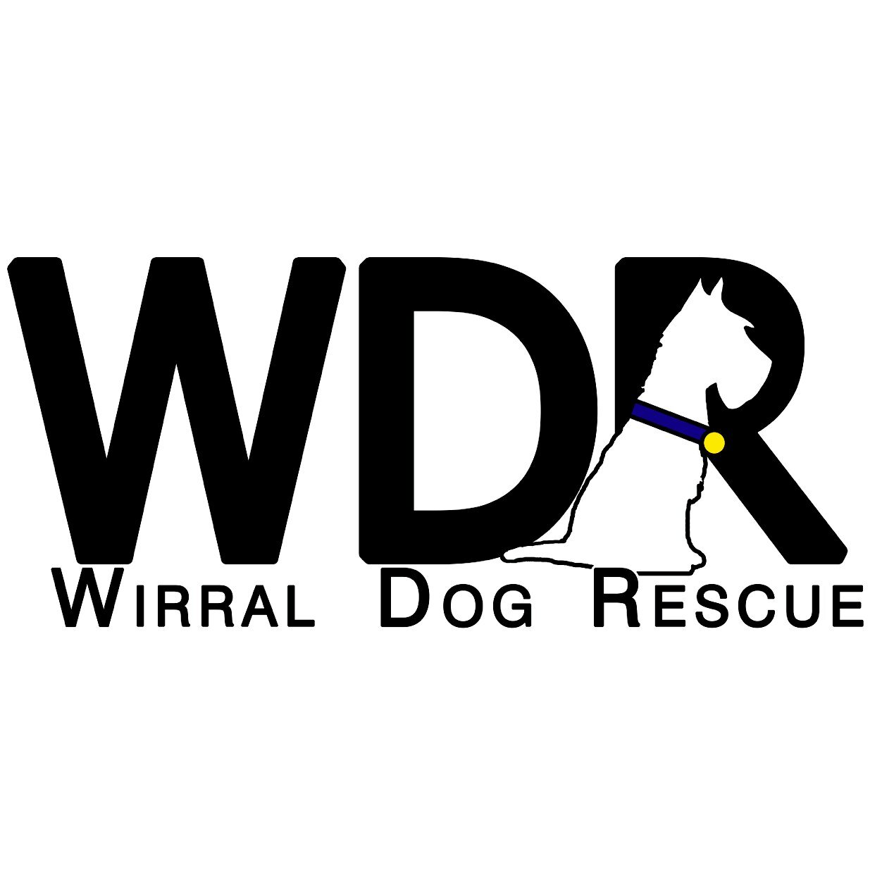 We are a small Volunteer run, Wirral based dog rescue. We rely soley on donations. Our Facebook group is Merseyside Mutts and our page is Wirral Dog Rescue.