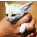 Nicholas Skylar - @NicholasSkylar - Twitter