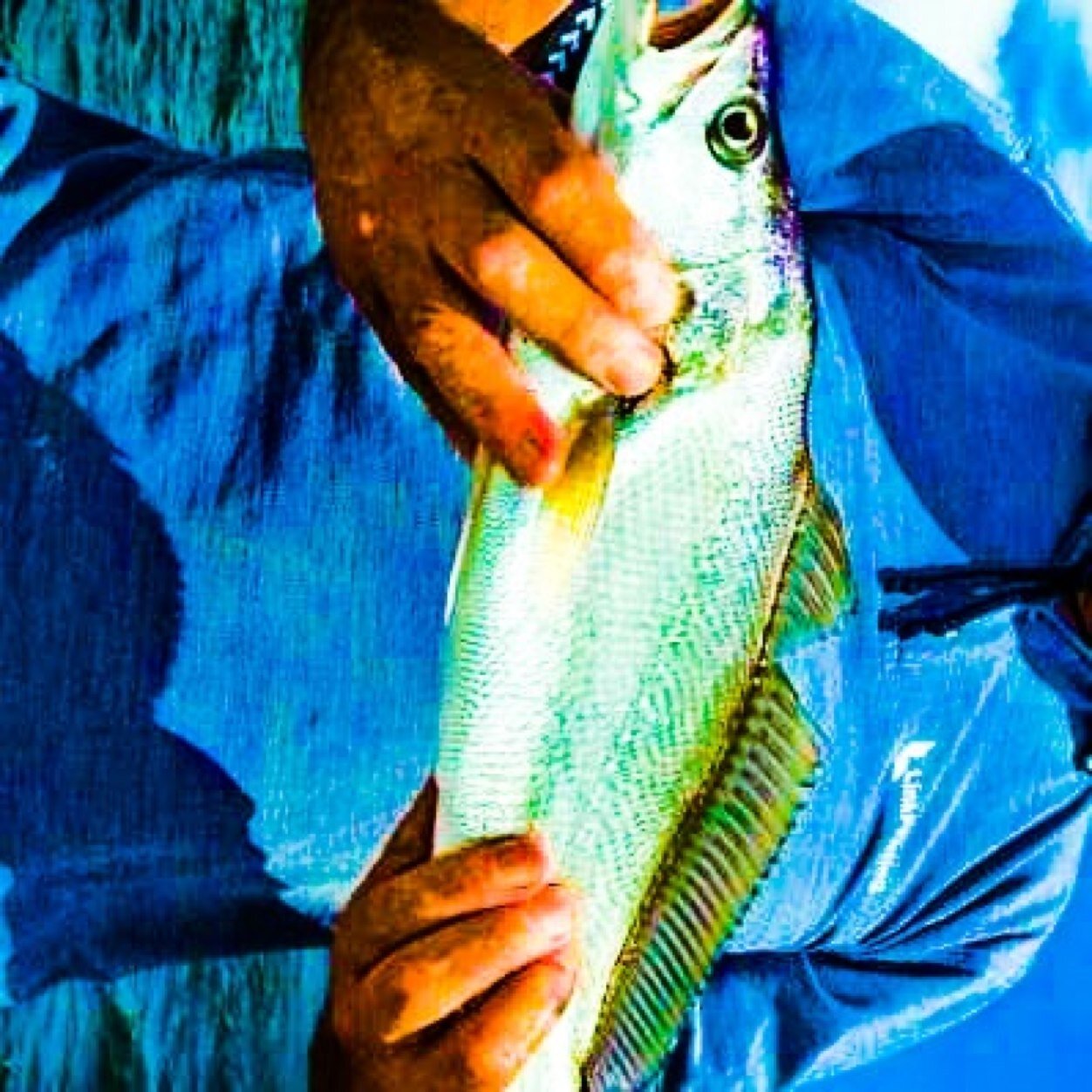 presstyretags's profile picture. against cyber crime