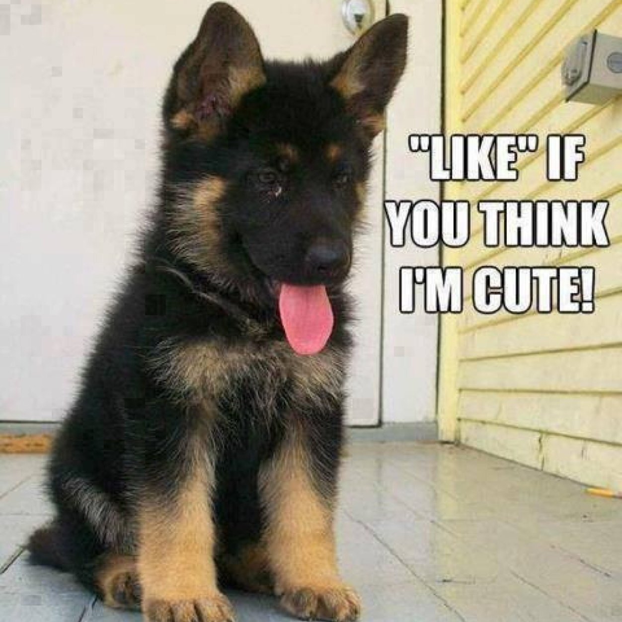 SteveRothbart's profile picture. 