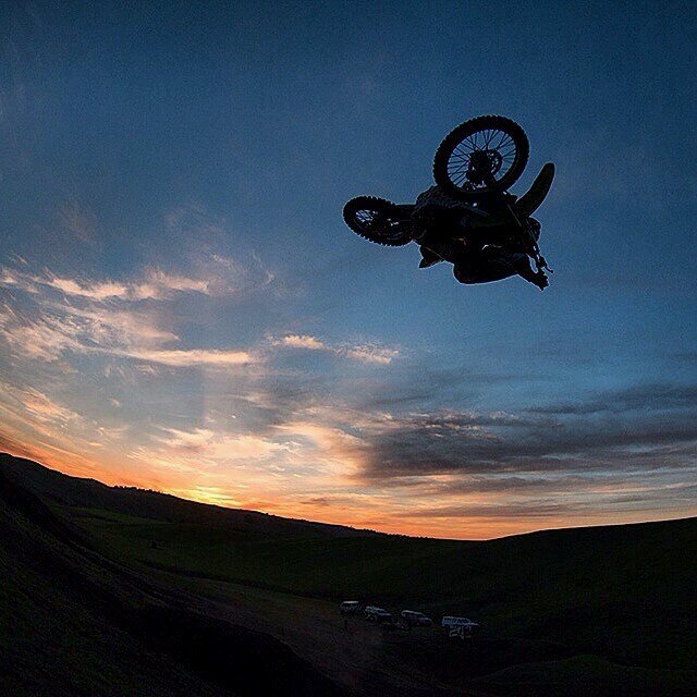 bjfolly's profile picture. 