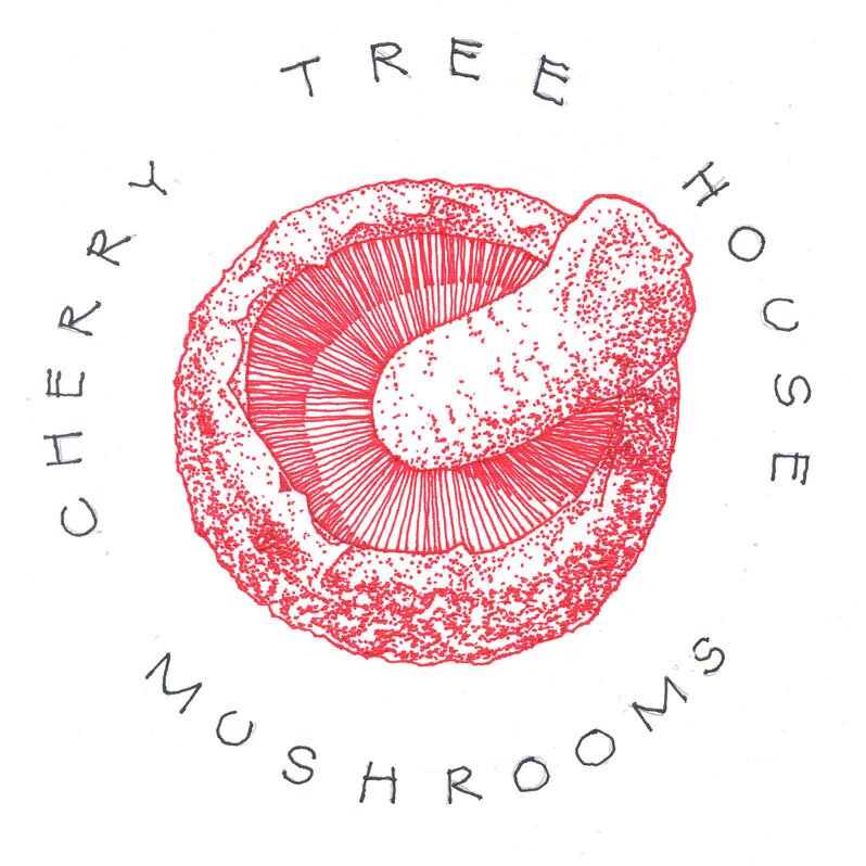 We grow and sell log-grown shiitake and other mushrooms, log kits, and mushroom foods to folks in the Twin Cities. #locafyfungi