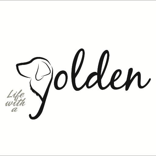 Página dedicada a la raza Golden Retriever