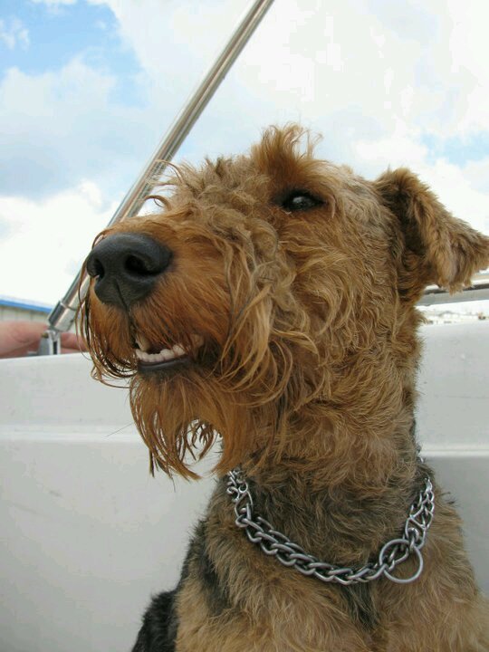 JovanLukic179's profile picture. 