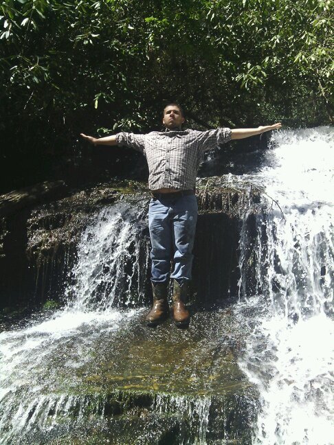 bradrollyson's profile picture. 