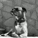 10david 18malia - @DavidMalia10 - Twitter