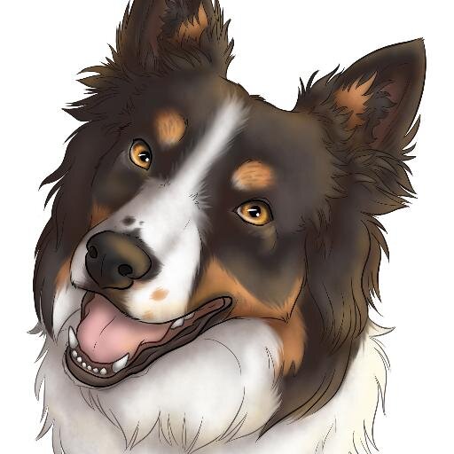 Ottawa pet owner, portrait artist, illustrator & designer. My business helps pet owners, businesses and animal rescues. Woof!