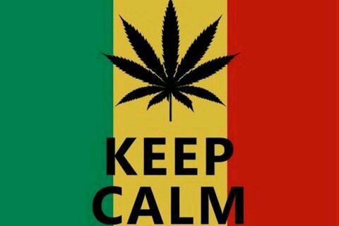 Gerardito1307's profile picture. ~