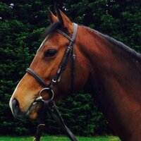 Daniel Creighton (@danielcreighton) 's Twitter Profile