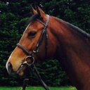 Daniel Creighton - @danielcreighton - Twitter