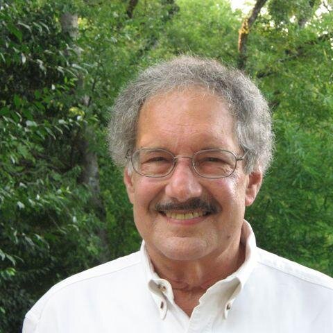 Author, Harvard PhD, 20th century America historian, American cultural life - movies, art, theater, literature, radio, music, television -1930s to today.