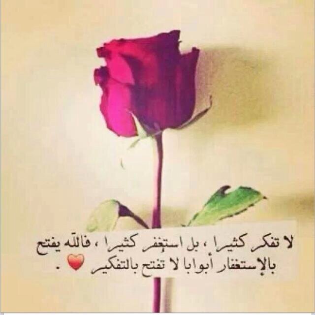 (سبحان الله والحمد لله ولا اله الاالله والله اكبر)