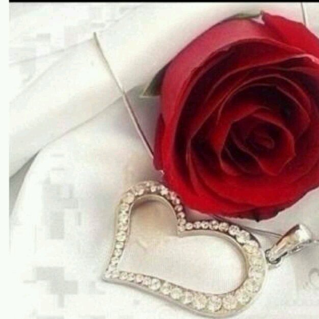 لسنا سوى أرواح ؛ ستقبض في أي لحظة ......
