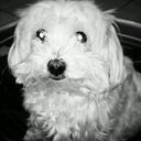 Marta Camp - @2741ec1ff9f84af - Twitter