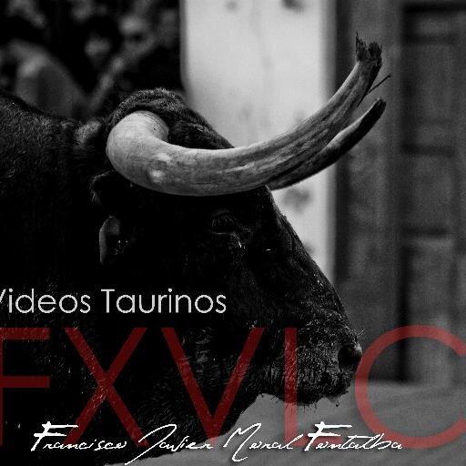 Espacio dedicado a los vídeos taurinos de toros en las calles. DVD´s para peñas taurinas. Contacto y cuenta administrada por @Mabranx