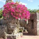 Lena Carson - @SpaceCadetLena - Twitter