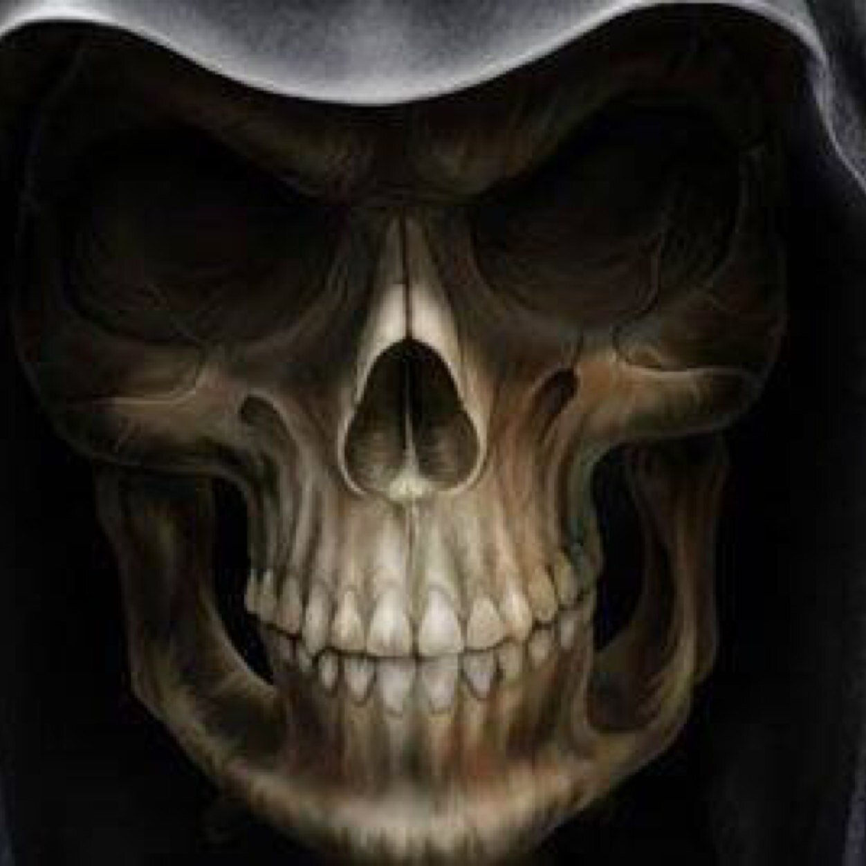 ricardotapia00's profile picture. 