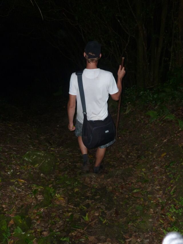 RolandKruissen's profile picture. 