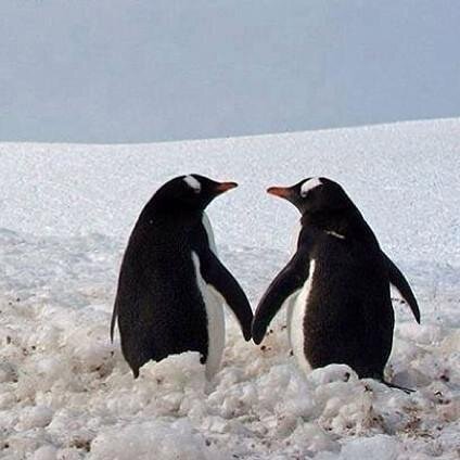 Marcia20414383's profile picture. 