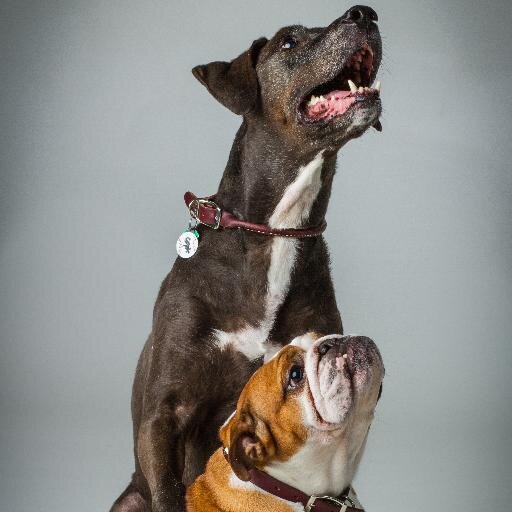 StaceySMedina's profile picture. Laugh at your problems, everybody else does.