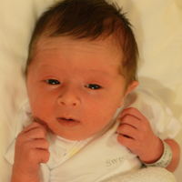 Lucía Paz Díaz-Ortiz (@lucia) 's Twitter Profile