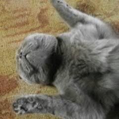 Работаем в Интернет, #ВзаимныйФолловинг, #FollowBack #FollowMe #ФолловлюВзаимно # #follovback #rufollowback