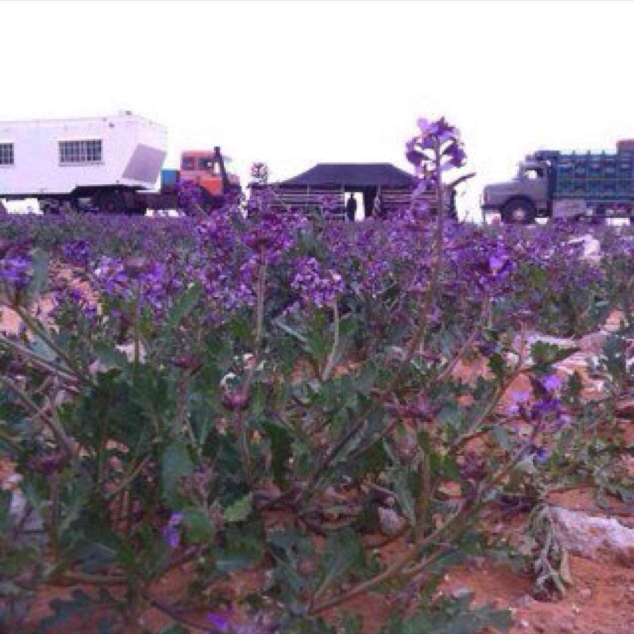 rhhh511's profile picture. 