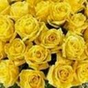 syed shafi - @shafirrl - Twitter