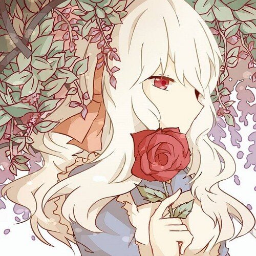 KiwiChocofudge's profile picture. 