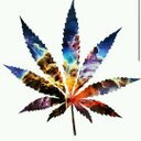 Dane Mitchell - @DaneMitchell033 - Twitter