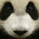 Pam Rea Serdar - @66passionpony - Twitter