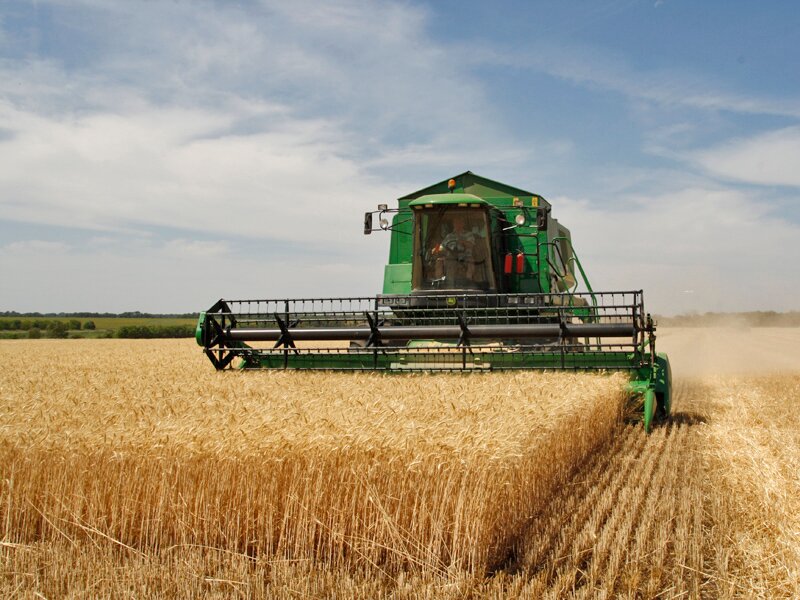 PerthAgricultur's profile picture. Supporting the Agricultural community one tweet at a time.