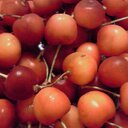 なつくずみ - @scarlet_gable - Twitter