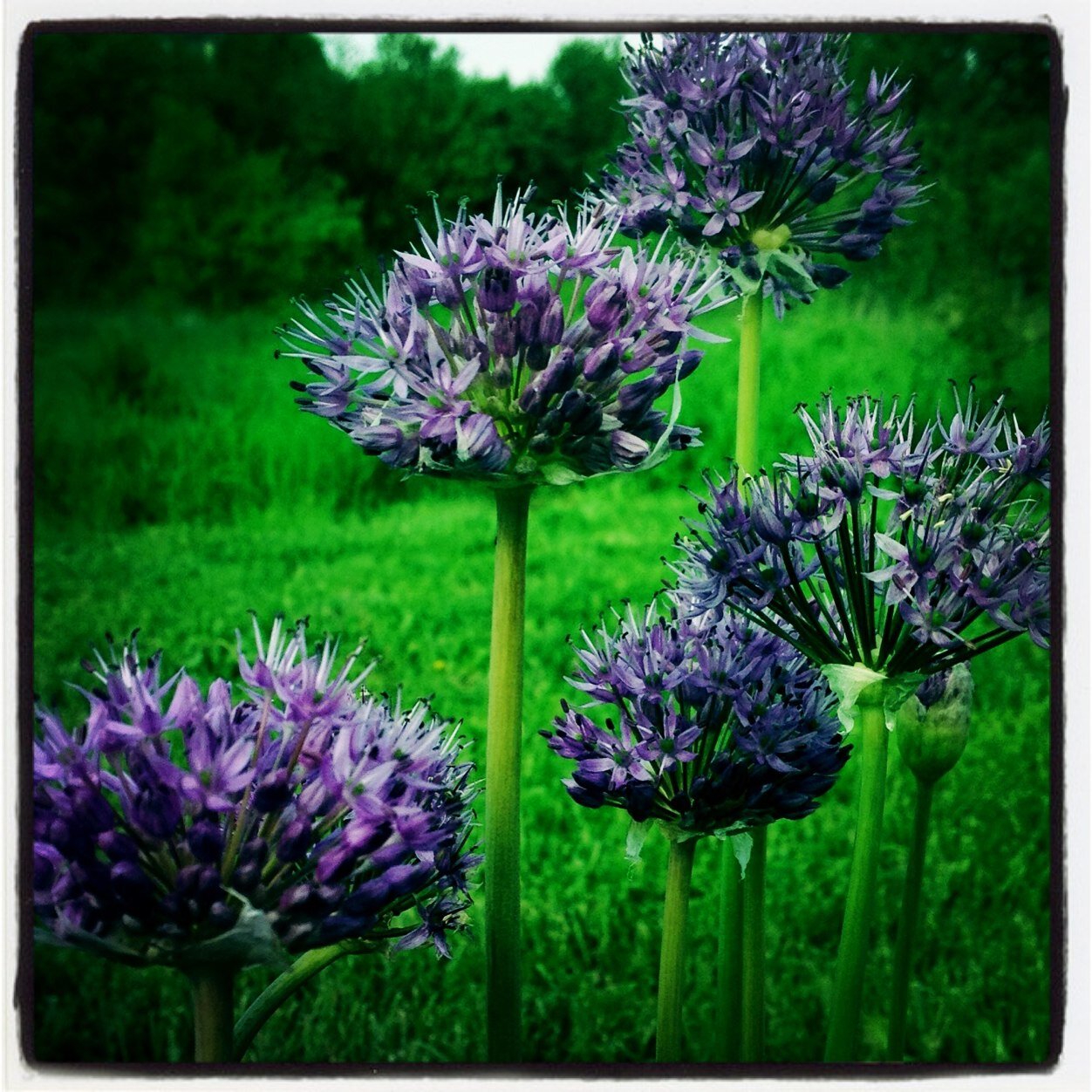 k_traughber's profile picture. 