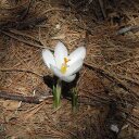 Donna Mattera - @Dmm729Donna - Twitter