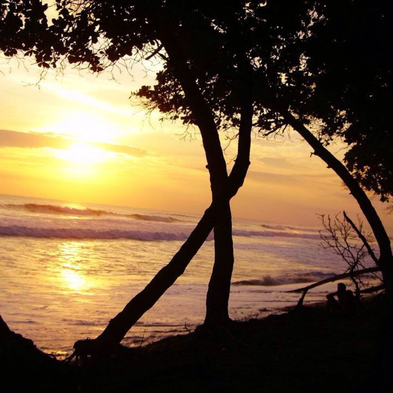 smoakie420's profile picture. 