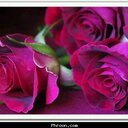 **جَوٌوٌوٌرًيّ**ّ (@231123_fgfg) Twitter