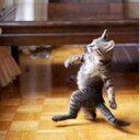 leonardo mesa - @leo_16661 - Twitter