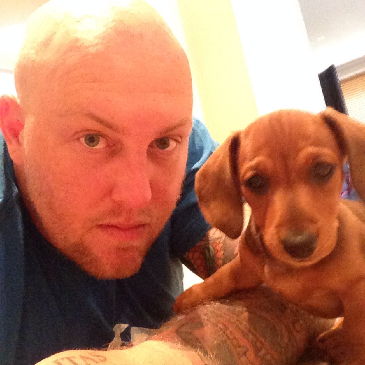 LeopardsealDan's profile picture. 