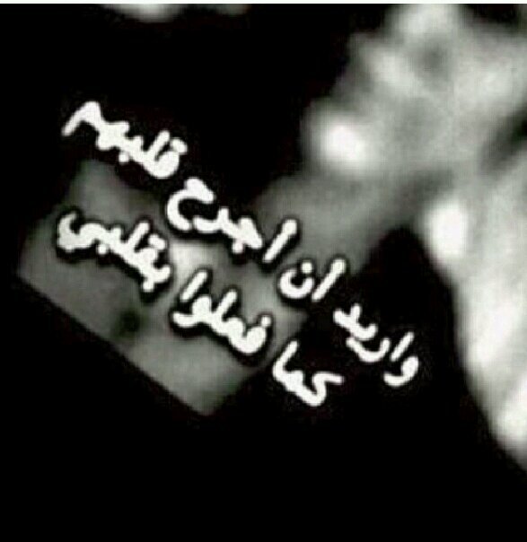نحن نصرف في الحب والعطاء كثيرا *#*لذلك تكون تكاليف الخذلان باهضة الألم
