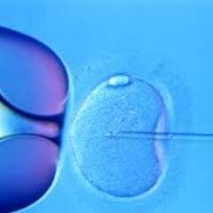 FertilityCloud is an online comprehensive fertility telemedicine practice. It is the pioneer in providing telemedicine fertility services.