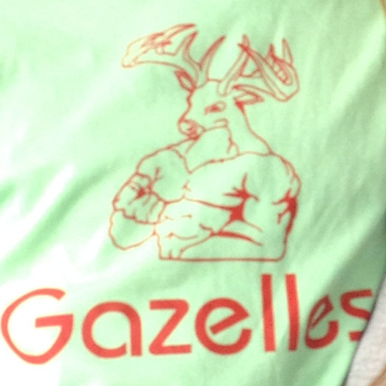 The team who wins it all, with sweat, blood and dedication. We are the gazelles