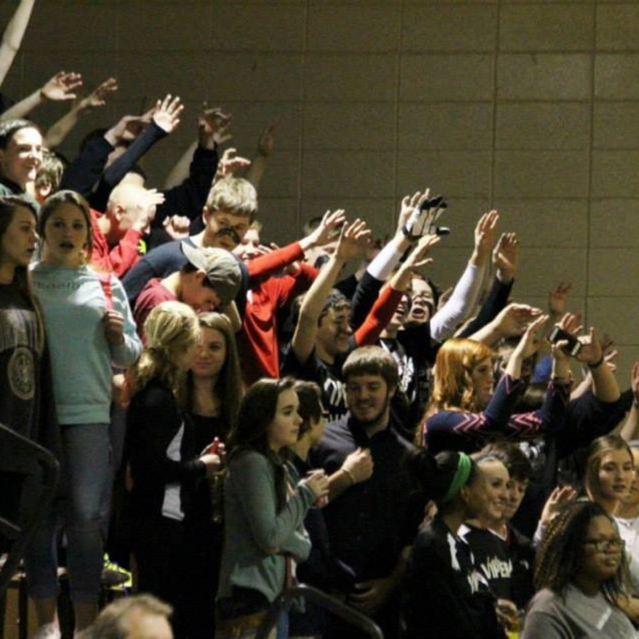 Vcms_bash's profile picture. 