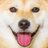 KumaCarlosChan's profile image