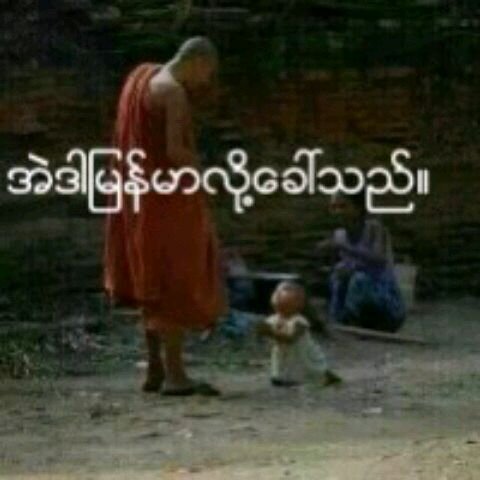 pandasmile9's profile picture. 