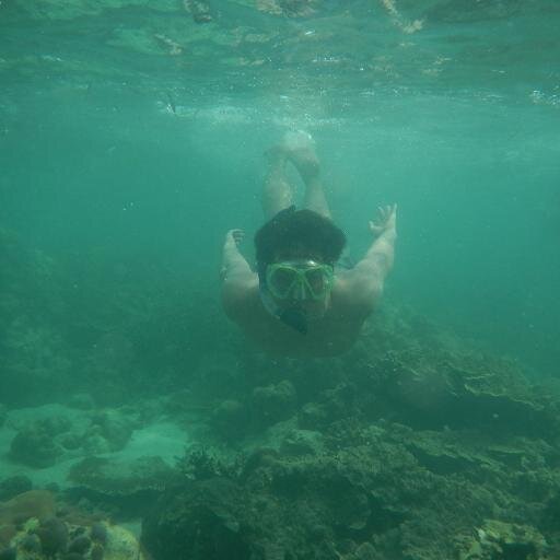 traveling dan nyelam ,,,,