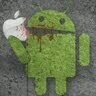 MajidiSam's profile picture. 